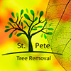 St Petersburg Tree Removal logo